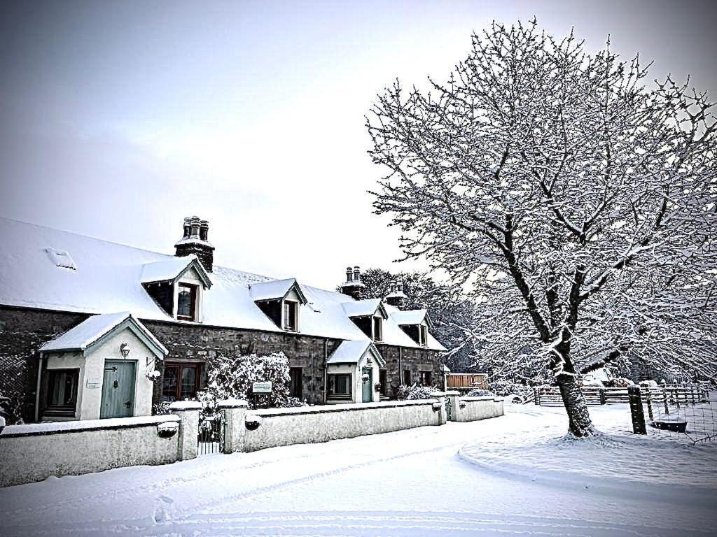 Rosemount Cottage Two - Highland Cottage Garve Kültér fotó